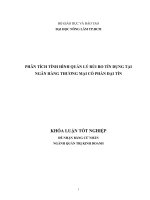PHÂN TÍCH TÌNH HÌNH QUẢN LÝ RỦI RO TÍN DỤNG TẠI NGÂN HÀNG THƯƠNG MẠI CỔ PHẦN ĐẠI TÍN