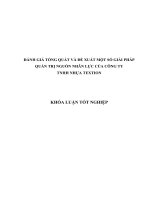 ĐÁNH GIÁ TỔNG QUÁT VÀ ĐỀ XUẤT MỘT SỐ GIẢI PHÁP QUẢN TRỊ NGUỒN NHÂN LỰC CỦA CÔNG TY TNHH NHỰA TEXTION