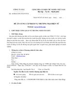 Đề án cung cấp dịch vụ website TMĐT