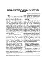 ĐẶC điểm lâm SÀNG, nội SOI, cắt lớp VI TÍNH, mô BỆNH học và PHÂN TÍCH các PHƯƠNG PHÁP PHẪU THUẬT nội SOI u NHÚ mũi XOANG