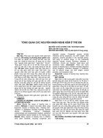 TỔNG QUAN các NGUYÊN NHÂN NGHE kém ở TRẺ EM