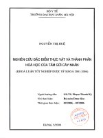 Nghiên cứu đặc điểm thực vật và thành phần hóa học của tầm gửi cây nhãn