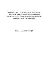 KHẢO SÁT THỰC TRẠNG HOẠT ĐỘNG TÍN DỤNG TẠI NGÂN HÀNG THƯƠNG MẠI CỔ PHẦN AN BÌNH CHI NHÁNH PHÚ NHUẬN VÀ GIẢI PHÁP NÂNG CAO QUẢN TRỊ RỦI RO TÍN DỤNG TẠI NGÂN HÀNG