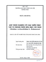 Góp phần nghiên cứu đặc điểm thực vật và thành phần hóa học cây ngoi