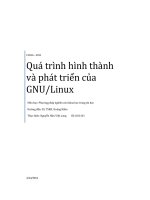 Quá trình hình thành và phát triển của GNU linux 