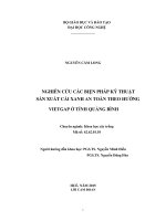 Tiến sĩ nông nghiệp  nghiên cứu các biện pháp kỹ thuật sản xuất cải xanh an toàn theo hướng vietgap ở tỉnh quảng bình