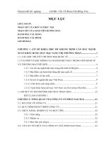 Các giải pháp đẩy mạnh xuất khẩu may mặc của công ty cổ phần sao mai sang thị trường nhật bản