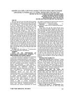 NGHIÊN cứu điều CHẾ PHỨC KHÁNG THỂ đơn DÒNG NIMOTUZUMAB gắn ĐỒNG vị PHÓNG xạ i 131 DÙNG TRONG điều TRỊ UNG THƯ