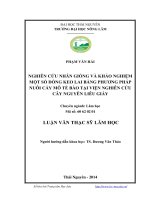 Nghiên cứu nhân giống và khảo nghiệm một số dòng keo lai bằng phương pháp nuôi cấy mô tế bào tại viện nghiên cứu cây nguyên liệu giấy 