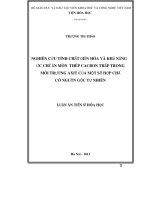 Luận án tiến sĩ hóa học nghiên cứu tính chất điện hóa và khả năng ức chế ăn mòn thép cacbon