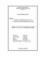 Nghiên cứu tình hình sản xuất lúa tại xã hoàng đồng thành phố lạng sơn