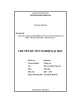 Điều tra, đánh giá tình hình sản xuất ngô tại thị trấn nà phặc   huyện ngân sơn   tỉnh bắc kạn