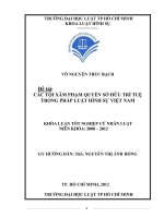 Các Tội Xâm Phạm Quyền Sở Hữu Trí Tuệ Trong Pháp Luật Hình Sự Việt Nam