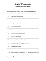 question forms present perfect tense 