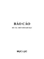 tiểu luận biến đổi khí hậu