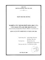 Nghiên cứu thành phần hóa học của cây giảo cổ lam thu hái ở sapa