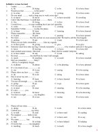 Infinitives and gerunds (with key) 