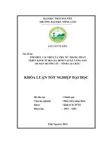 Tìm hiểu vai trò của phụ nữ trong phát triển kinh tế hộ gia đình tại xã vàng san – huyện mường tè – tỉnh lai châu