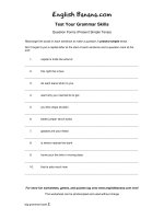 question forms present simple tense 