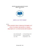 BÁO cáo PHÂN TÍCH và ĐỊNH GIÁ cổ PHIẾU của CÔNG TY cổ PHẦN mía ĐƯỜNG 333 TRONG  HOẠT ĐỘNG tư vấn PHÁT HÀNH CHỨNG KHOÁN