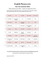 make a sentence with svopt subject verb object place time 4