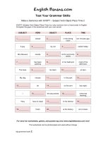 make a sentence with svopt subject verb object place time 2