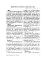 NGHIÊN cứu GIẢI PHẪU vạt cân DA CẲNG CHÂN SAU NGOÀI