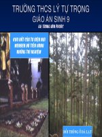 Bài giảng sinh học 9 tham khảo bồi dưỡng bài 2 lai một cặp tính trạng (9) 