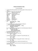 PRESENT PROGRESSIVE TENSE