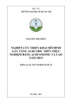 Nghiên cứu triển khai mô hình gây tăng acid uric trên thực nghiệm bằng acid oxonic và cao nấm men
