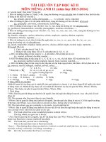 ôn thi HKII tiếng anh lớp 11 (lý thuyết, bài tập) 