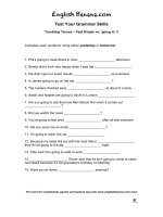 troubling tenses past simple vs going to 2