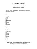 alphabetical order 2 clothes ev6 