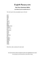 countable and uncountable nouns 3 eg8 