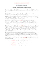 BÀI LUẬN TIẾNG ANH HAY   describe an encounter with a stranger 