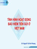 BÀI THUYẾT TRÌNH   TÌNH HÌNH HOẠT ĐỘNG bảo HIỂM TIỀN gửi ở VIỆT NAM