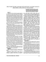 ĐIỀU TRỊ một số rối LOẠN NHỊP THẤT KHỞI PHÁT từ XOANG VALSALVA BẰNG NĂNG LƯỢNG SÓNG có tần số RADIO