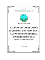Xây dựng phương pháp định lượng đồng thời stavudin và lamivudin trong chế phẩm bằng điện di mao quản