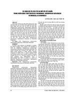 SO SÁNH GIÁ TRỊ của PCR đa mồi với cấy KHUẨN TRONG CHẨN đoán STREPTOCOCCUS PNEUMONIAE, HAEMOPHILUS INFLUENZAE và MORAXELLA CATARRHALIS