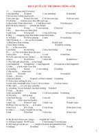 Bài tập chia thì 11 