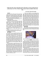 ĐÁNH GIÁ kết QUẢ 8 TRƯỜNG hợp lõm NGỰC có sử DỤNG nội SOI LỒNG NGỰC hỗ TRỢ TRONG PHẪU THUẬT NUSS tại BỆNH VIỆN CHỢ rẫy