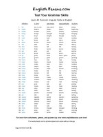 learn 40 common irregular verbs in english