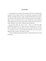 Tiểu luận tổng hợp tại VP5 – công ty cổ phần bảo hiểm PETROLIMEX( PJICO)