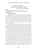 Tương quan giới trong phân công lao động gia đình nông thôn