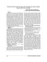 NHẬN xét bước đầu kết QUẢ LIỀN THƯƠNG SAU cắm lại RĂNG MUỘN TRÊN THỰC NGHIỆM