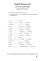 singular and plural nouns 1