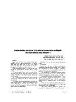 NGHIÊN cứu HÌNH ẢNH nội SOI, tỷ lệ NHIỄM HELICOBACTER PYLORI ở dạ dày TRÊN BỆNH NHÂN đái THÁO ĐƯỜNG TYP 2