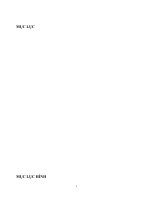 quản lý nội dung trên sakai server, thực hiện biên dịch và kiểm thử trên test server khác bằng hạ tầng ssh