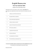 question forms past simple tense 