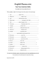 countable and uncountable nouns 2 